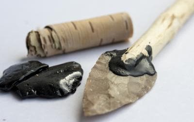 Shocking Discovery: Neanderthals Used Antiseptic Birch Tar