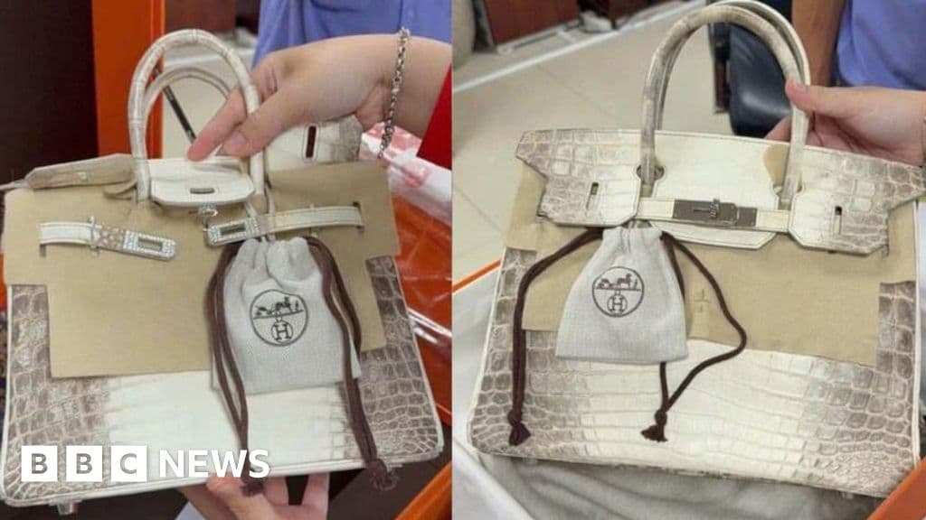 Shocking Sale: Jailed Tycoon’s Birkin Bags Fetch Over $550K