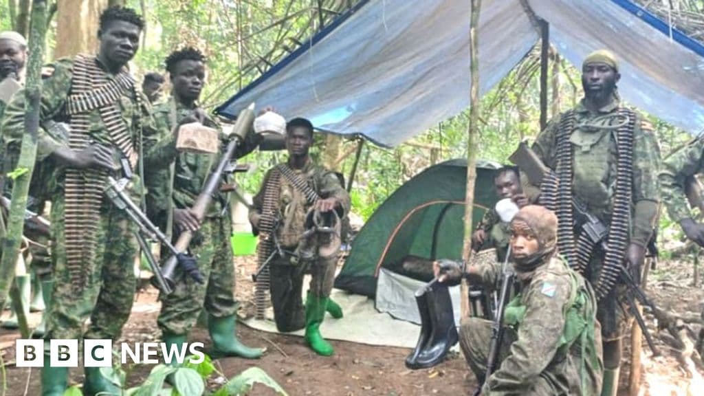 Over 200 Civilians Rescued from IS-Linked Group in DR Congo