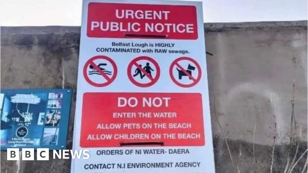 Minister Denies Raw Sewage Posters in Belfast Lough Controversy