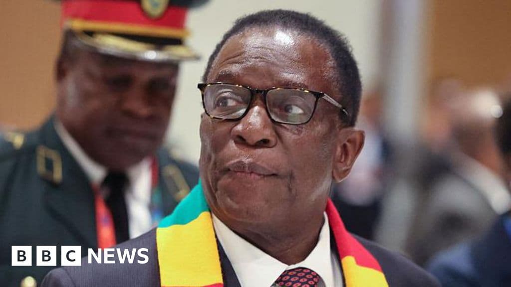 Zimbabwe's Controversial Plan to Scrap Presidential Elections