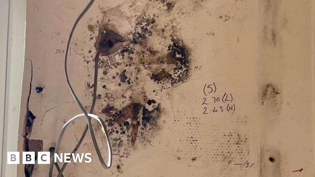 Four Arrested in Major Home Insulation Fraud Investigation