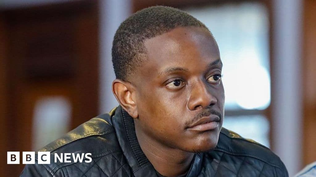 Shocking Plea: Mugabe's Son Admits Guilt in Gun Incident