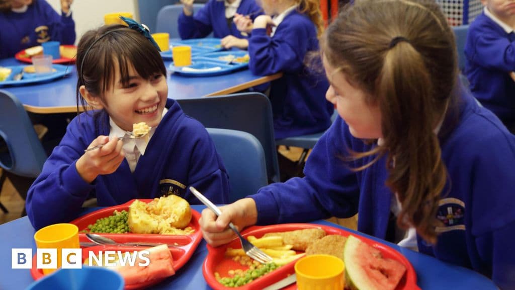 New School Dinner Rules: Deep-fried Foods Banned in England