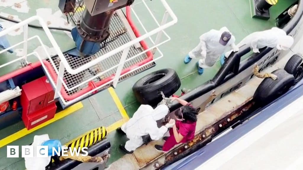Major Hantavirus Outbreak on Dutch Cruise Ship Heads to Canary Islands