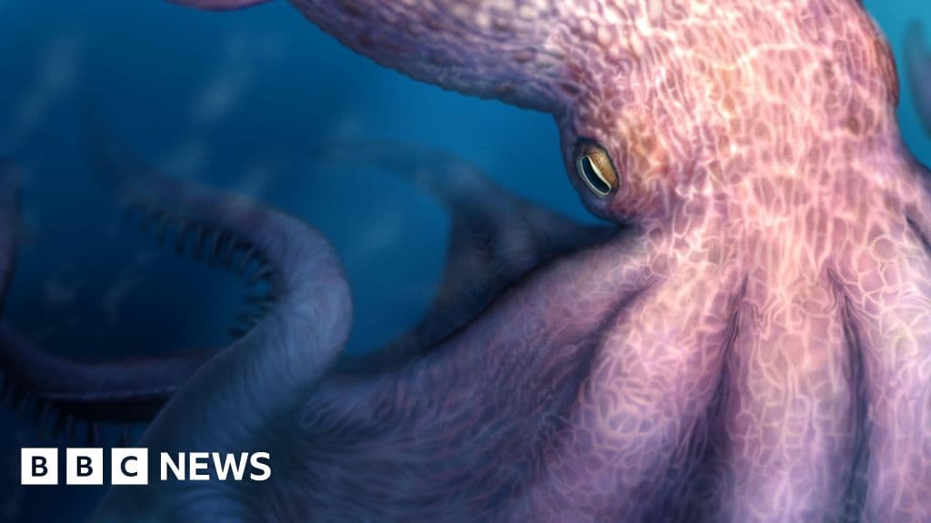Shocking Discovery: 19-Metre Giant Octopus Roamed Ancient Seas