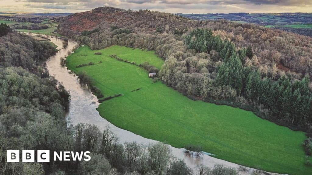 Shocking Environmental Pollution Case Hits UK High Court