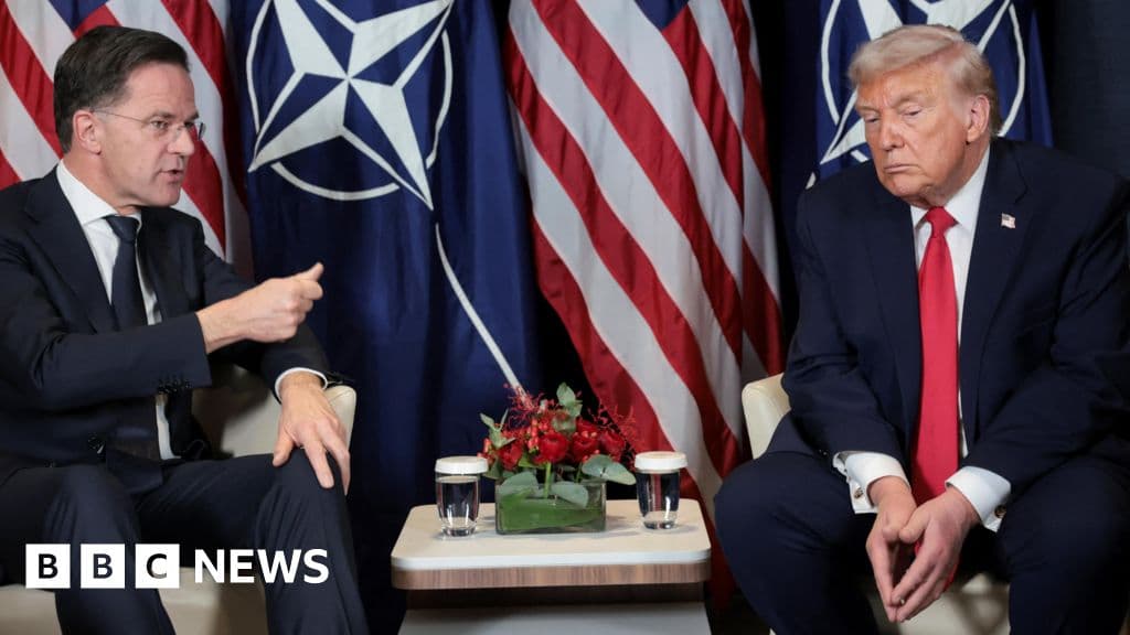 Trump's NATO Critique: Tensions Rise After 'Frank' Meeting