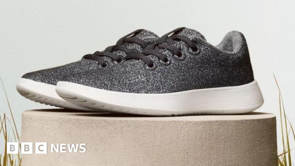 Allbirds Makes Shocking Shift from Shoes to AI Business