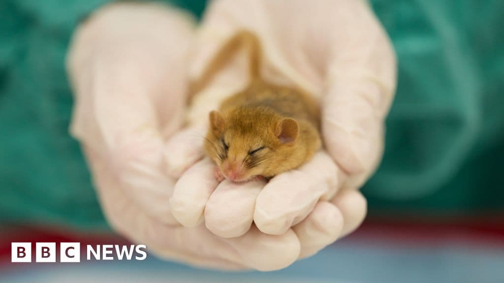 £20M Donation Unveils Groundbreaking Hospital at London Zoo