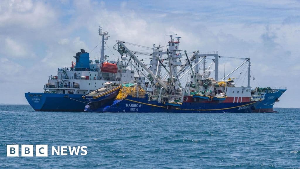 Climate Change's Dire Impact on Kiribati's Tuna Economy