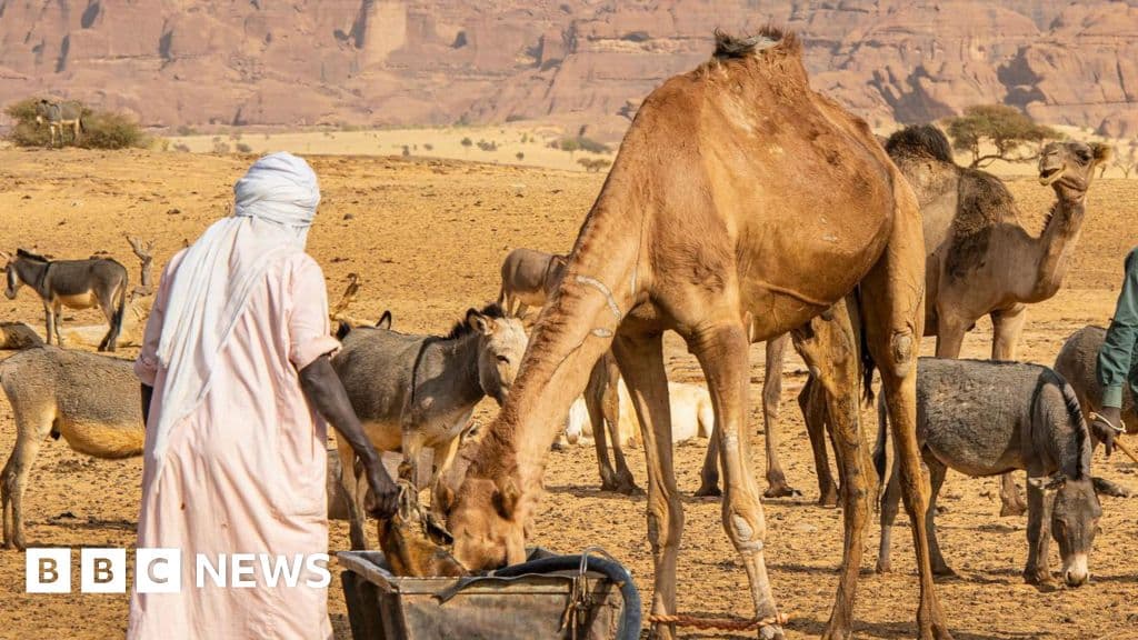 Shocking Violence in Chad: 42 Dead Over Water Dispute