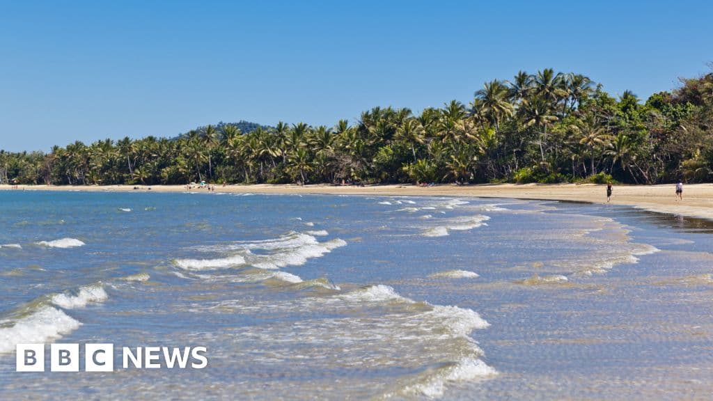 Tragic Shark Attack Claims Life of Man in Queensland Waters