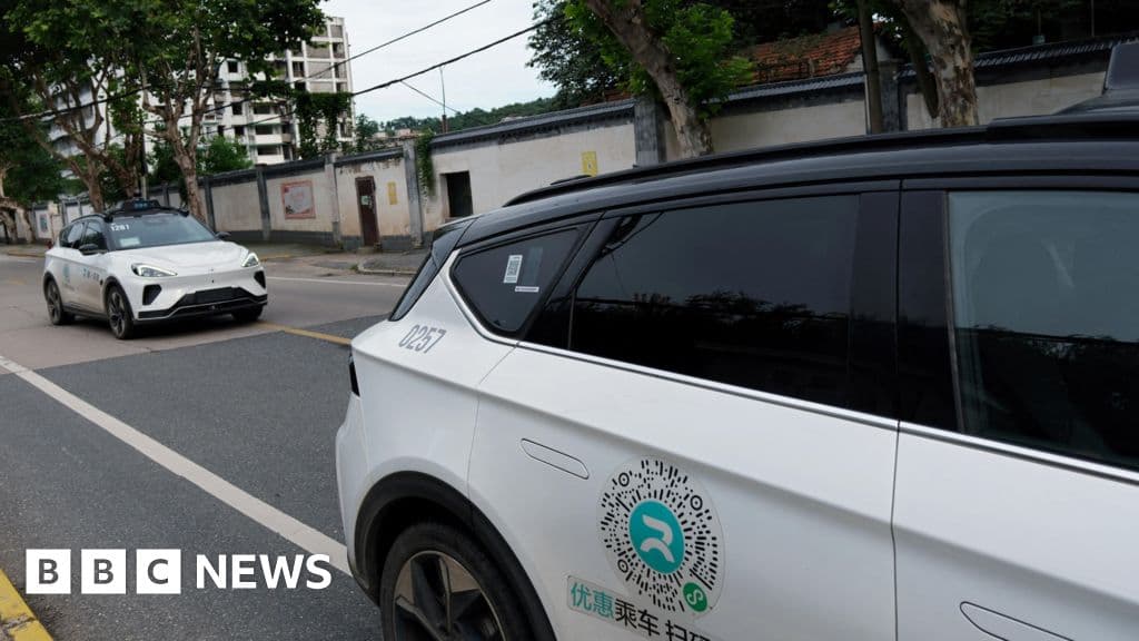 Critical Robotaxi Malfunction Disrupts Traffic in Wuhan