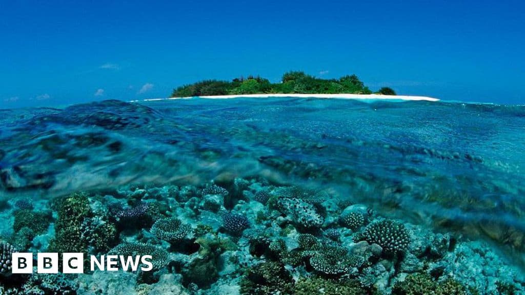 Tragic Scuba Diving Accident Claims Lives of Five Italians