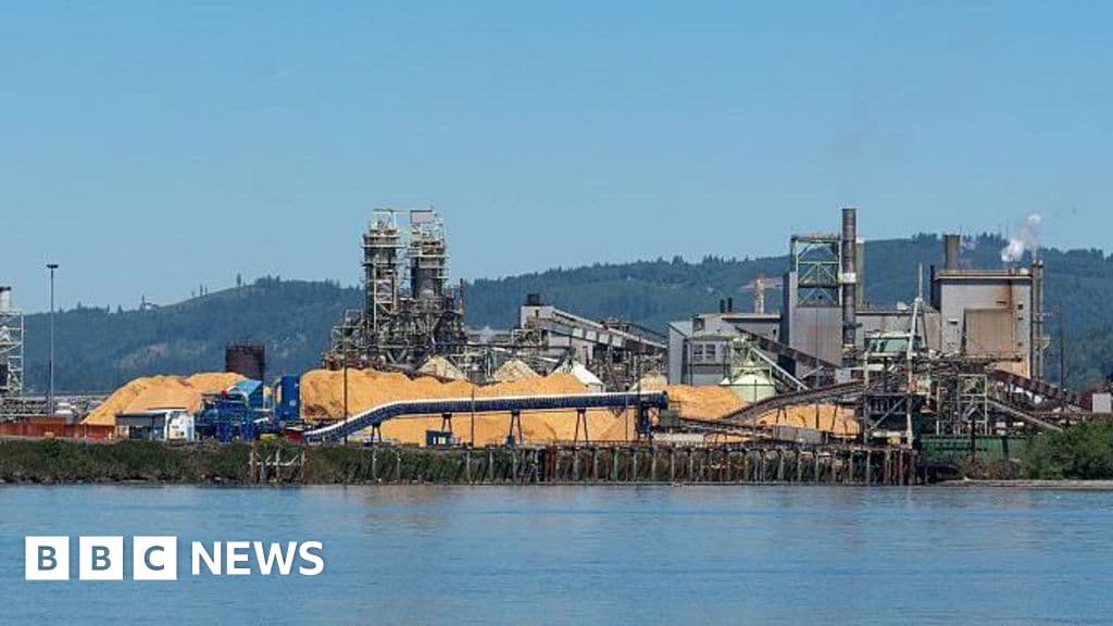 Shocking Chemical Explosion at Washington Paper Mill: Casualties Confirmed