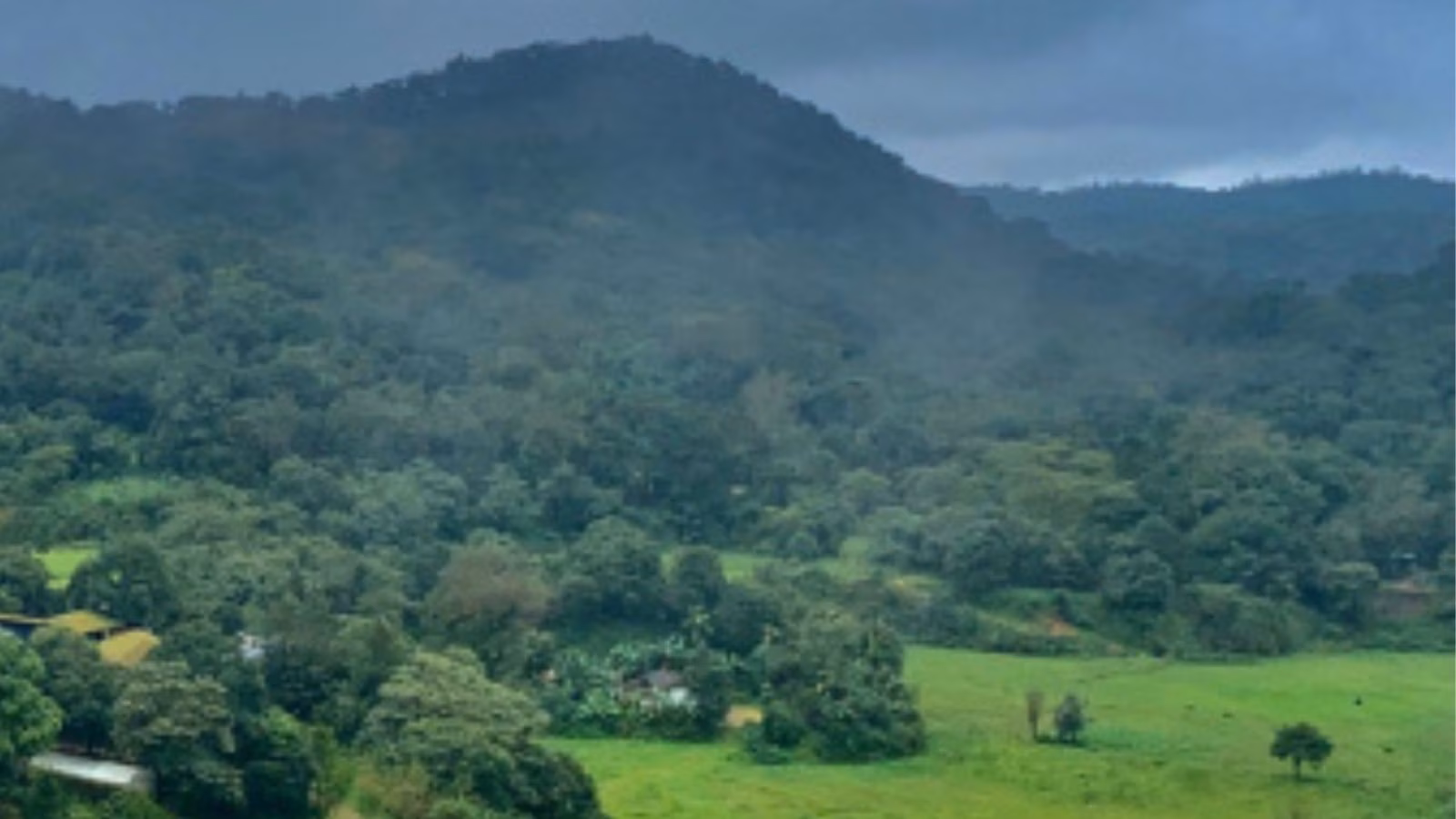 Karnataka Tightens Homestay Regulations After Tourist Assault