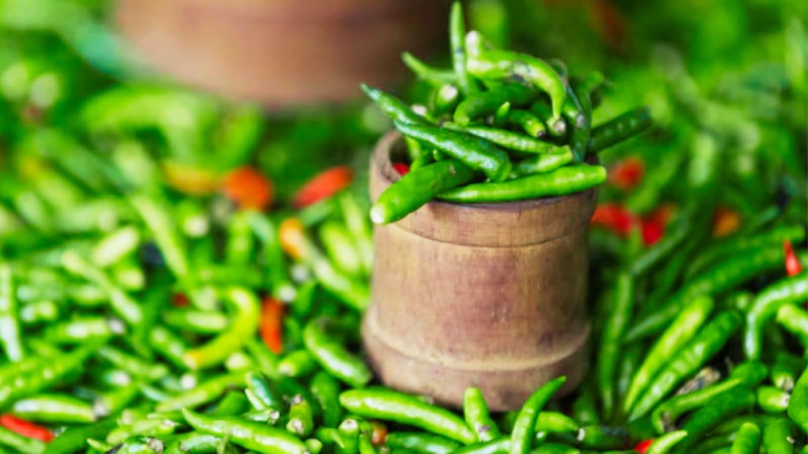 Ferozepur Farmers Export Green Chillies: A New Hope