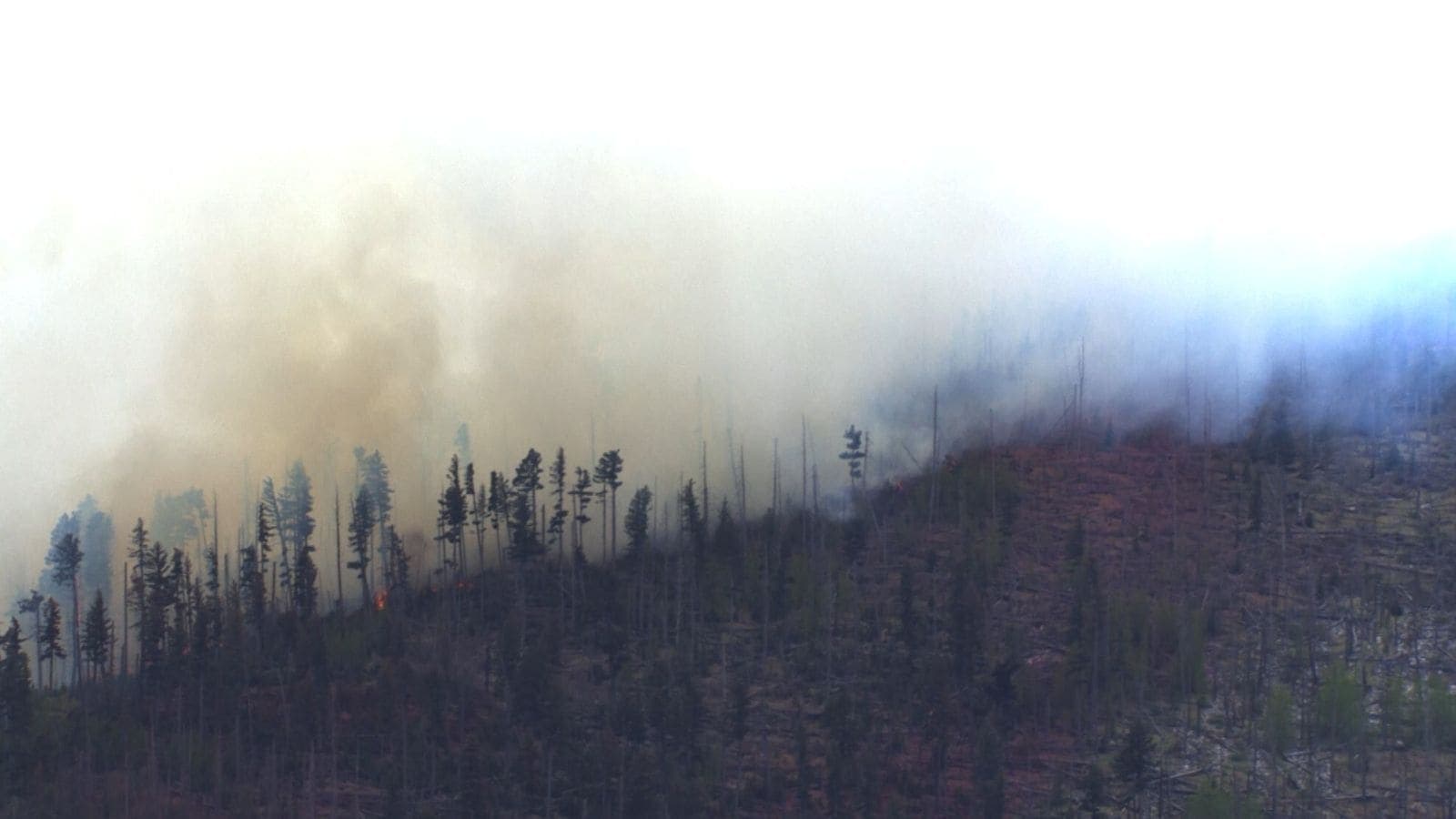 Tragic Plane Crash in New Mexico Claims Four Lives