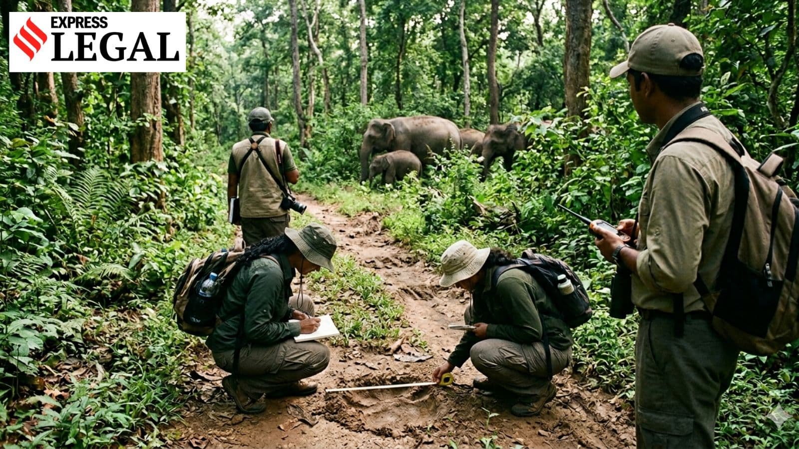 Court Orders Odisha to Reconsider Elephant Researchers' Status