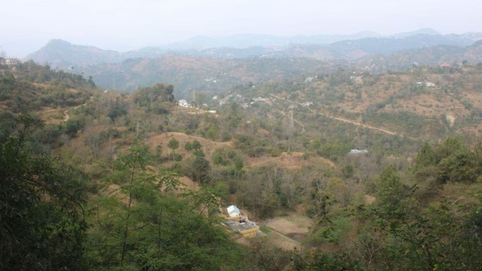 0.11% of Himachal Pradesh Forest Land Lost to Encroachment