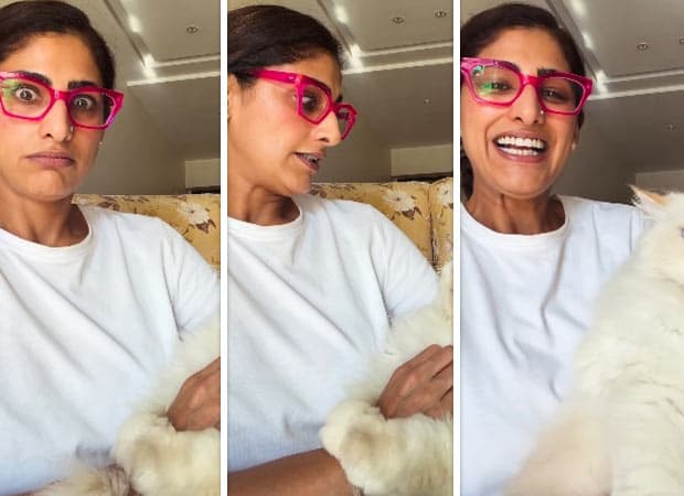 Kubbra Sait's Adorable Cat Moment on International Pet Day