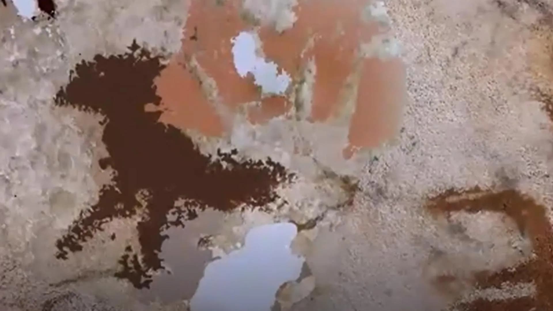 Shocking Discovery: Oldest Rock Art Found in Indonesia