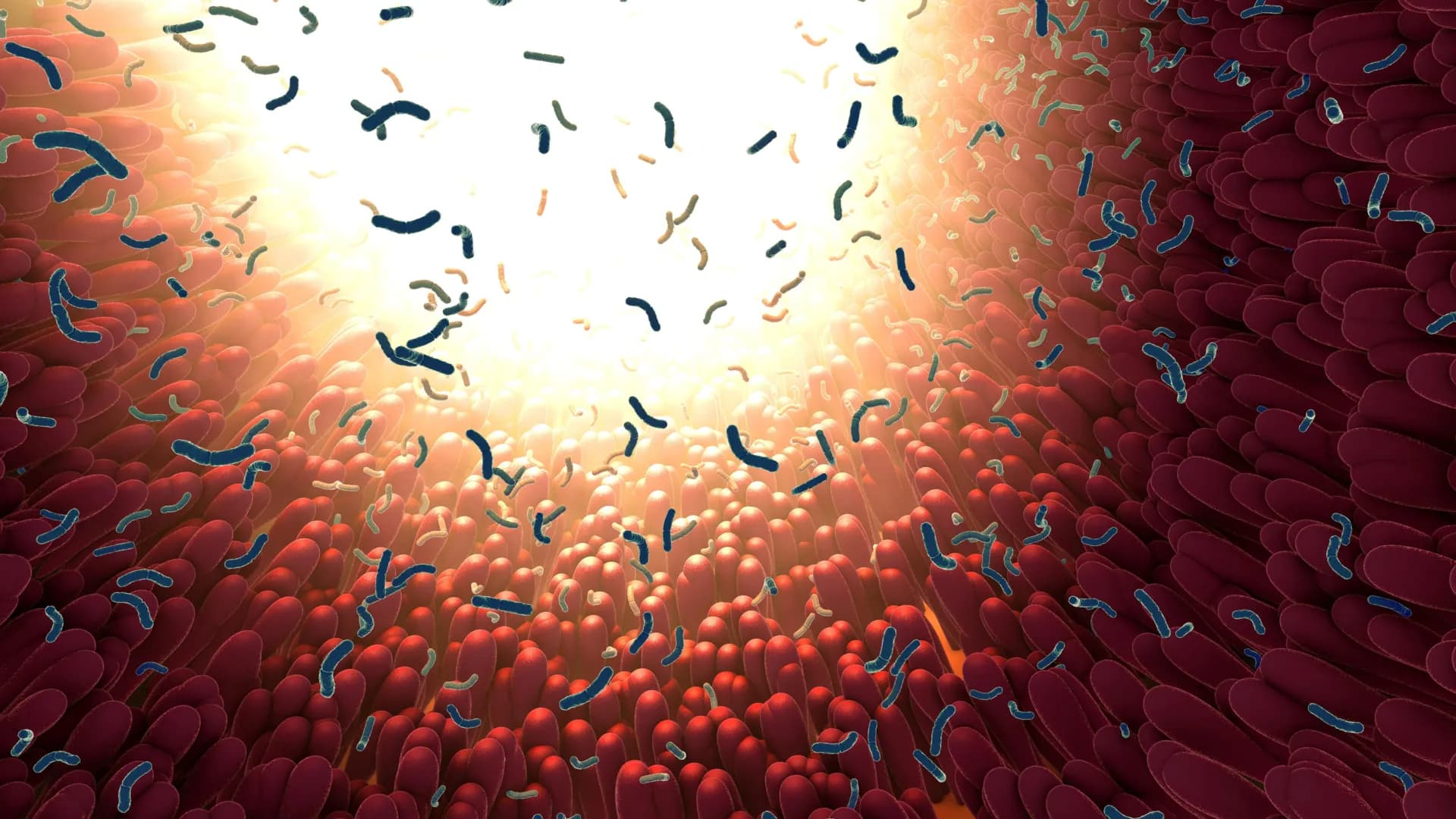 Shocking Discovery: MIT Unveils Gut Protein That Fights Bacteria