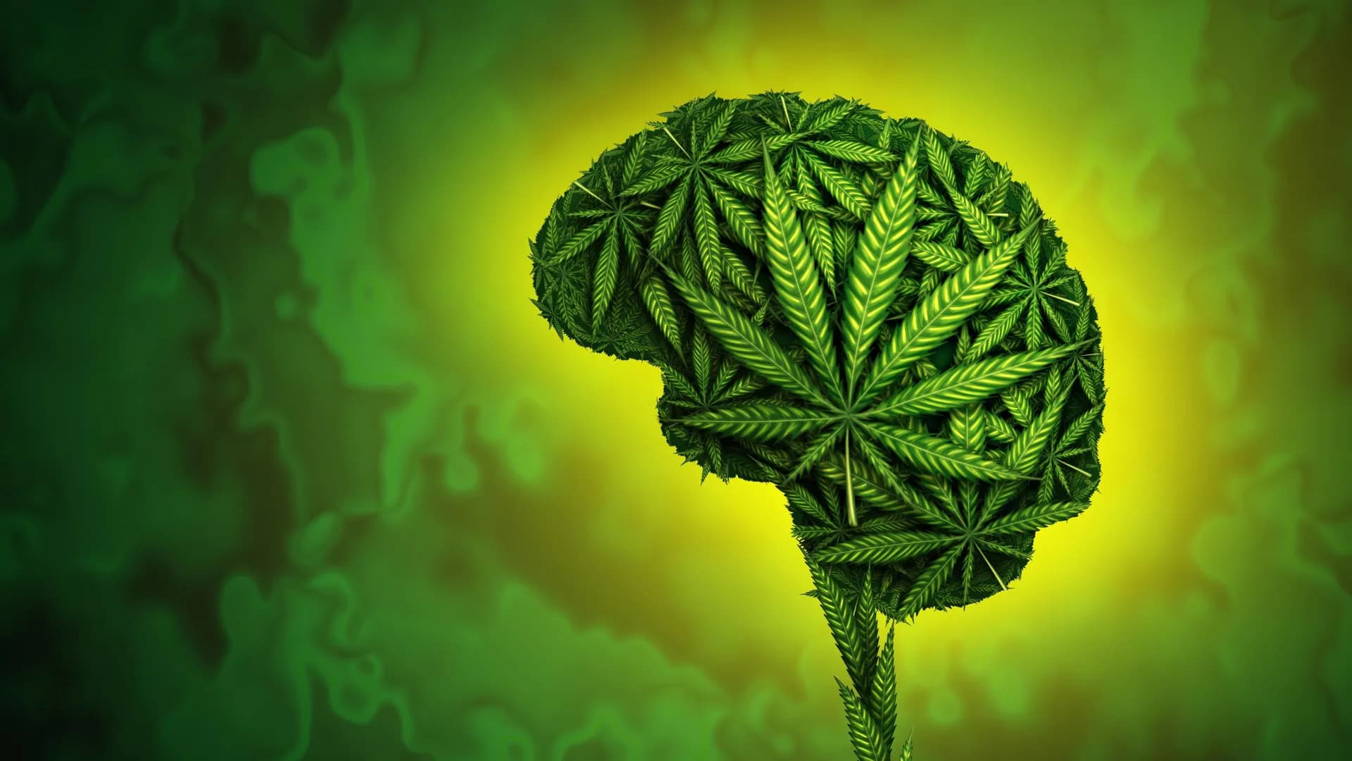 Major Study Reveals Cannabis Ineffective for Mental Health Issues