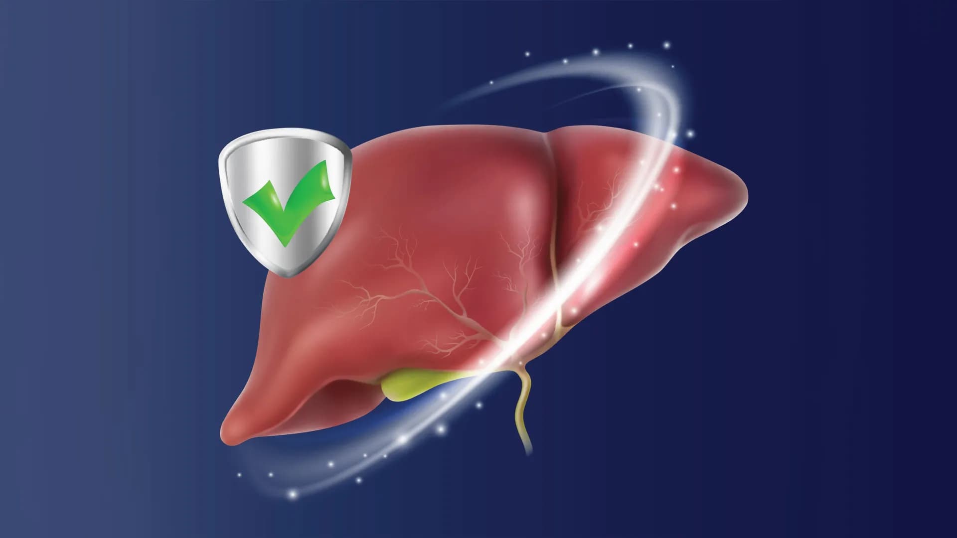 Revolutionary Drug Shields Liver After Intestinal Surgery