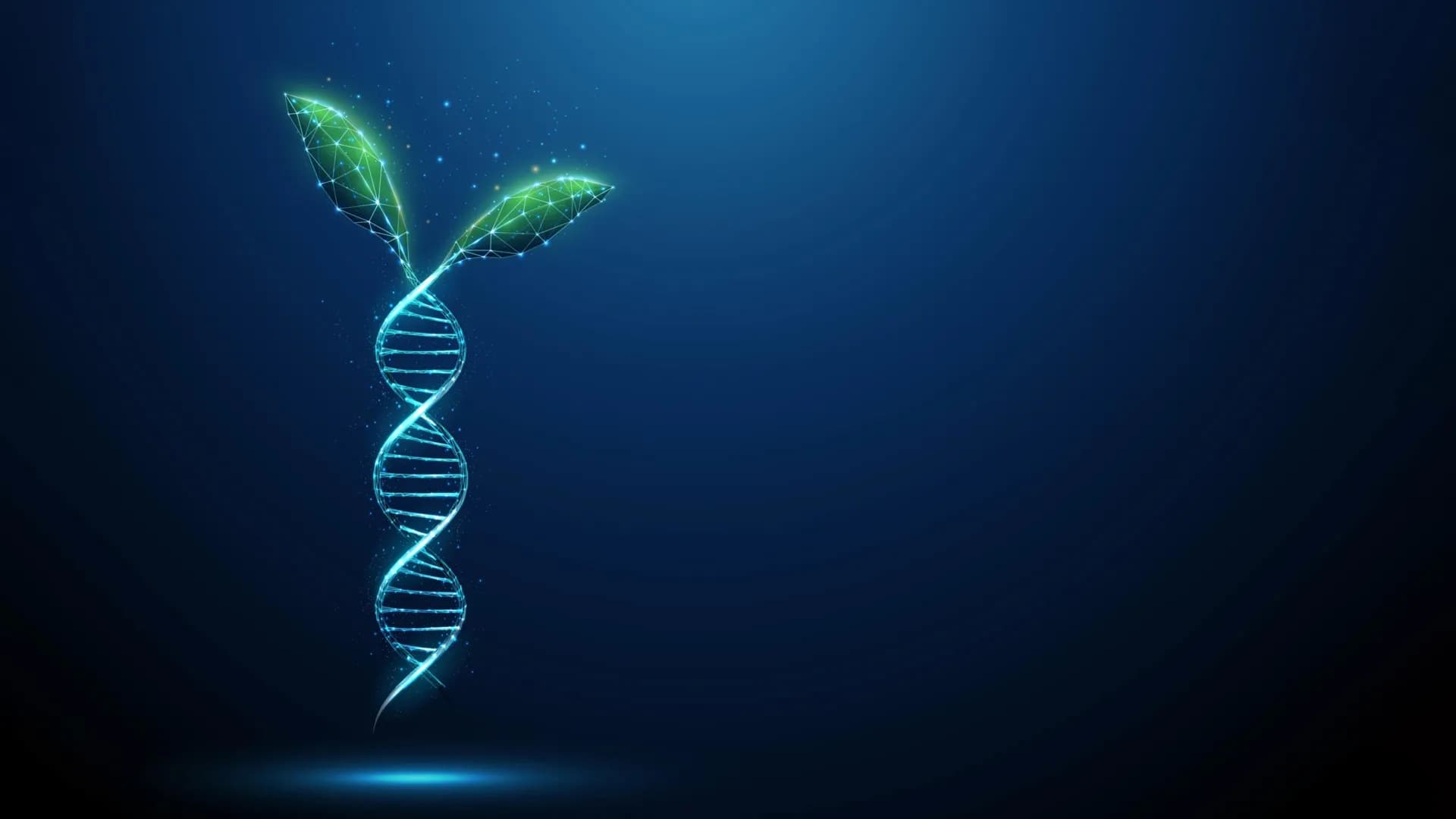 Ancient DNA Switches Found in Plants: A 400 Million-Year Puzzle