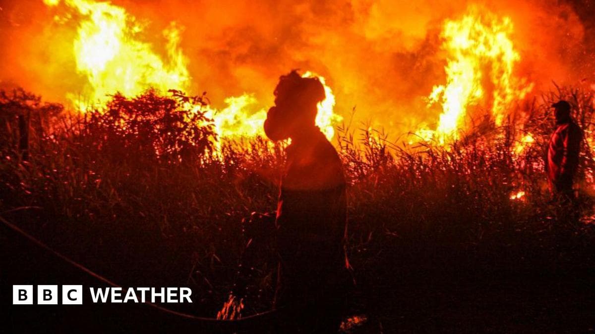 Record Global Temperatures Loom as El Niño Strengthens