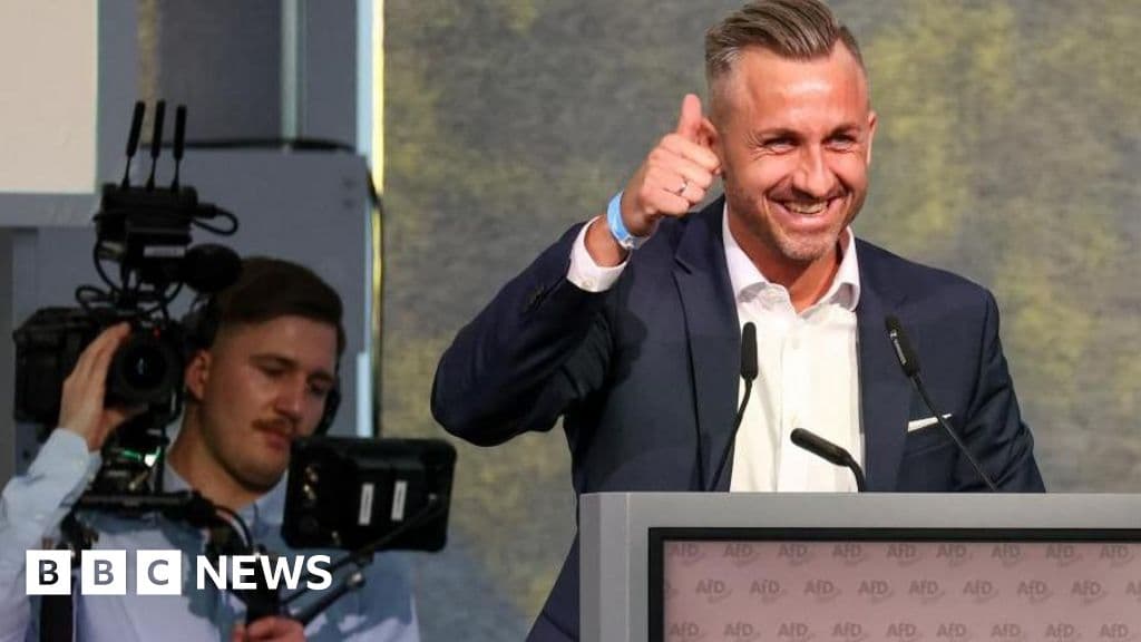 Shocking Far-Right AfD Unveils Radical Agenda Before Elections