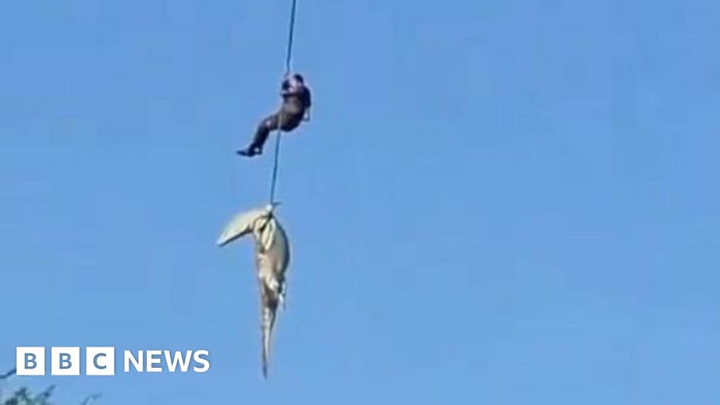 Shocking Rescue: Officer Retrieves Crocodile with Human Remains