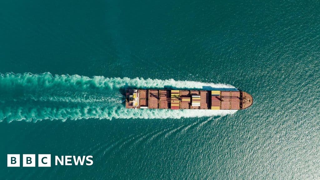 French Ship Breaks Through Strait of Hormuz Amid Conflict