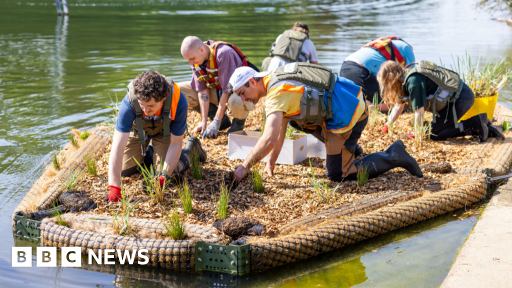 Transforming Coastal Ecosystems with Floating Wetlands