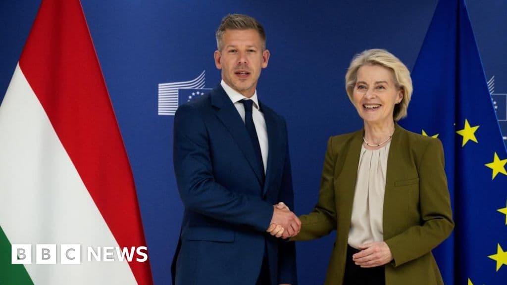 Hungary's New PM Promises Swift Release of EU Funds