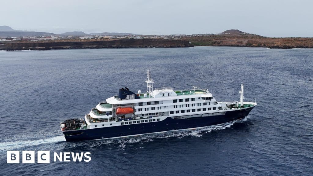 WHO Chief Reassures Tenerife Residents Amid Cruise Ship Concerns