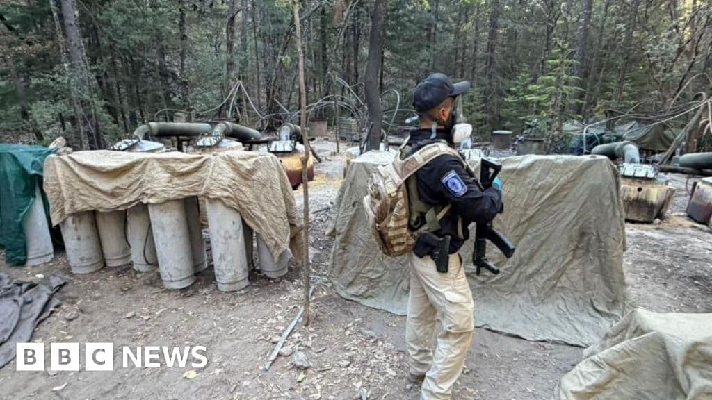 Critical Update: US Agents Killed in Mexico Were Unauthorized