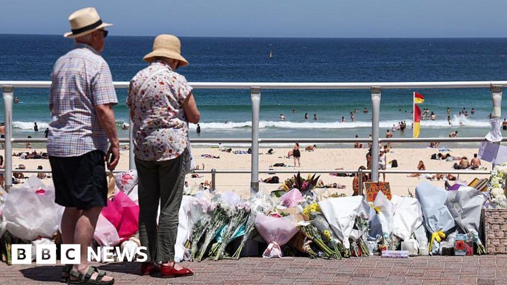 Shocking Royal Commission Urges Gun Reform After Bondi Shooting