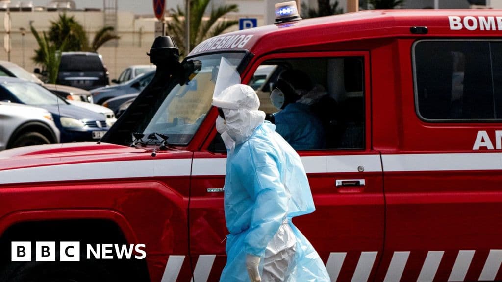 Hantavirus Outbreak on Cruise Ship: What You Need to Know