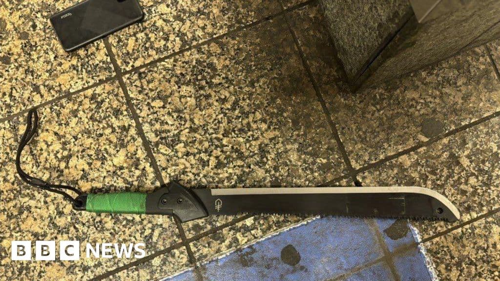 Shocking Machete Attack at NYC's Grand Central Leaves Three Hurt