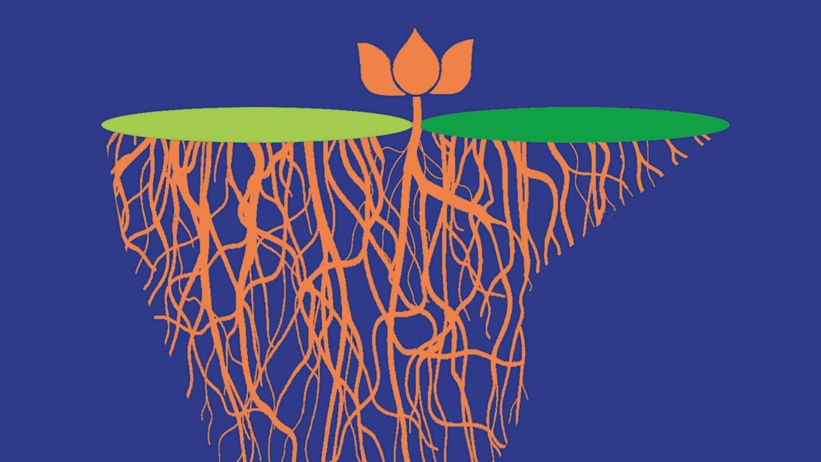 Modi's BJP: A Critical Shift in India's Political Landscape