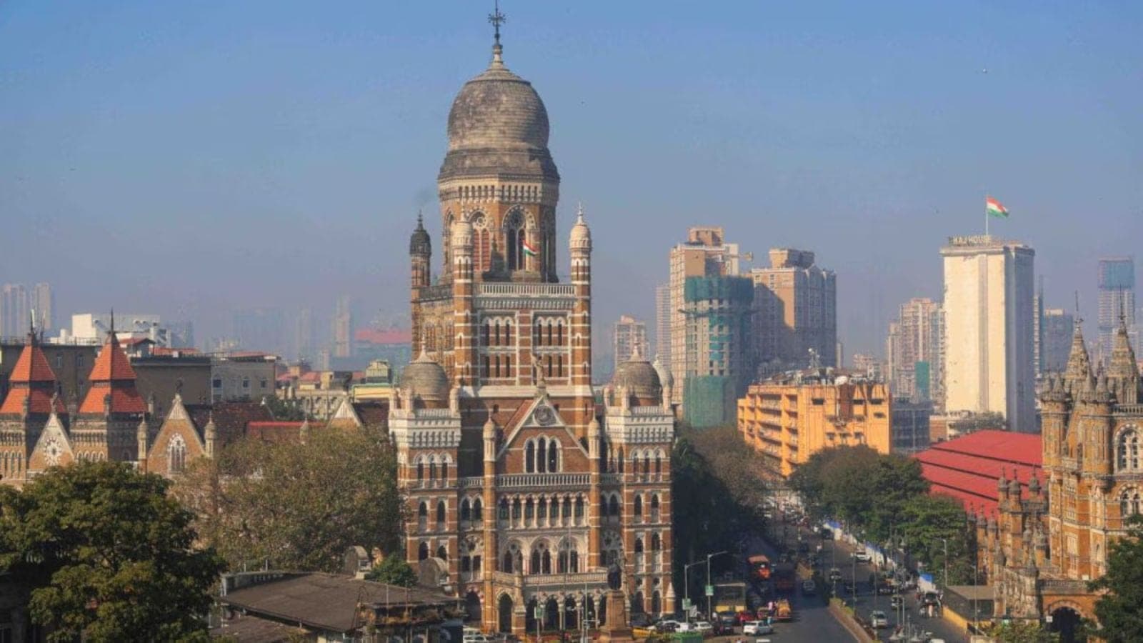 BMC Approves Controversial Tree Removal for Coastal Road