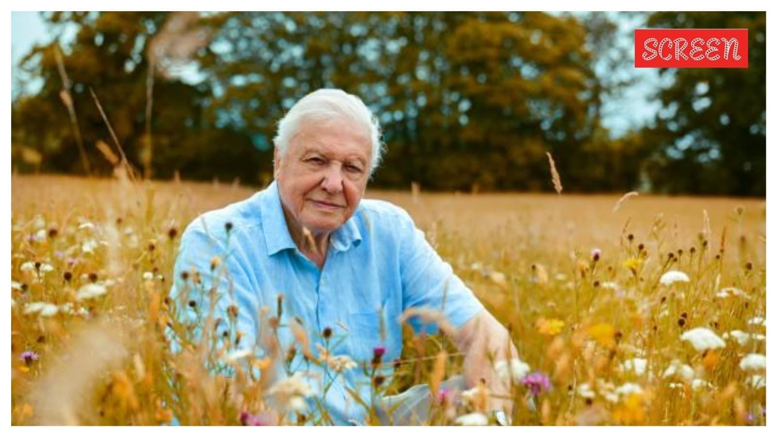 David Attenborough: Celebrating 100 Years of Nature's Voice