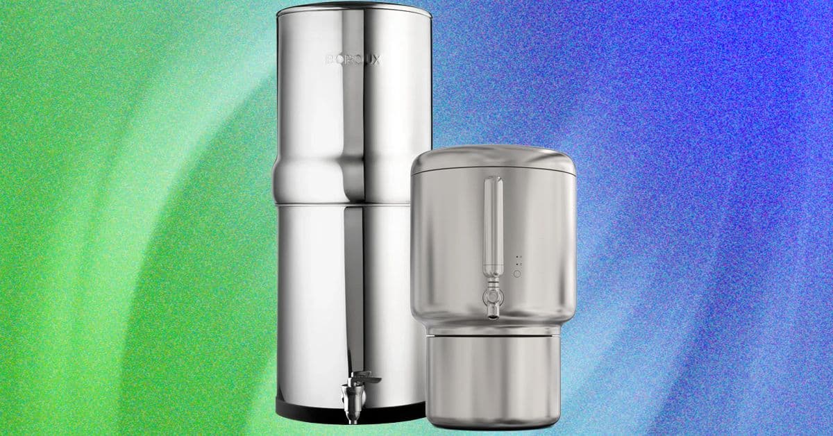 Critical Showdown: Boroux vs Rorra Water Filters Unveiled