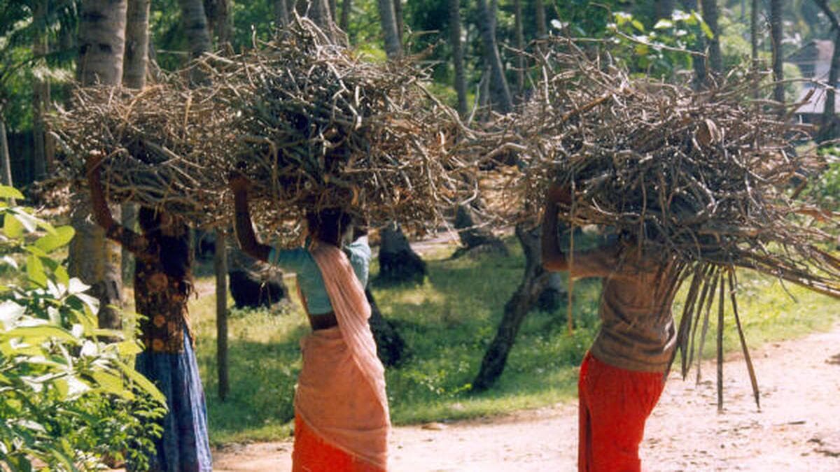 LPG Crisis Forces Women Cooks in India Back to Firewood