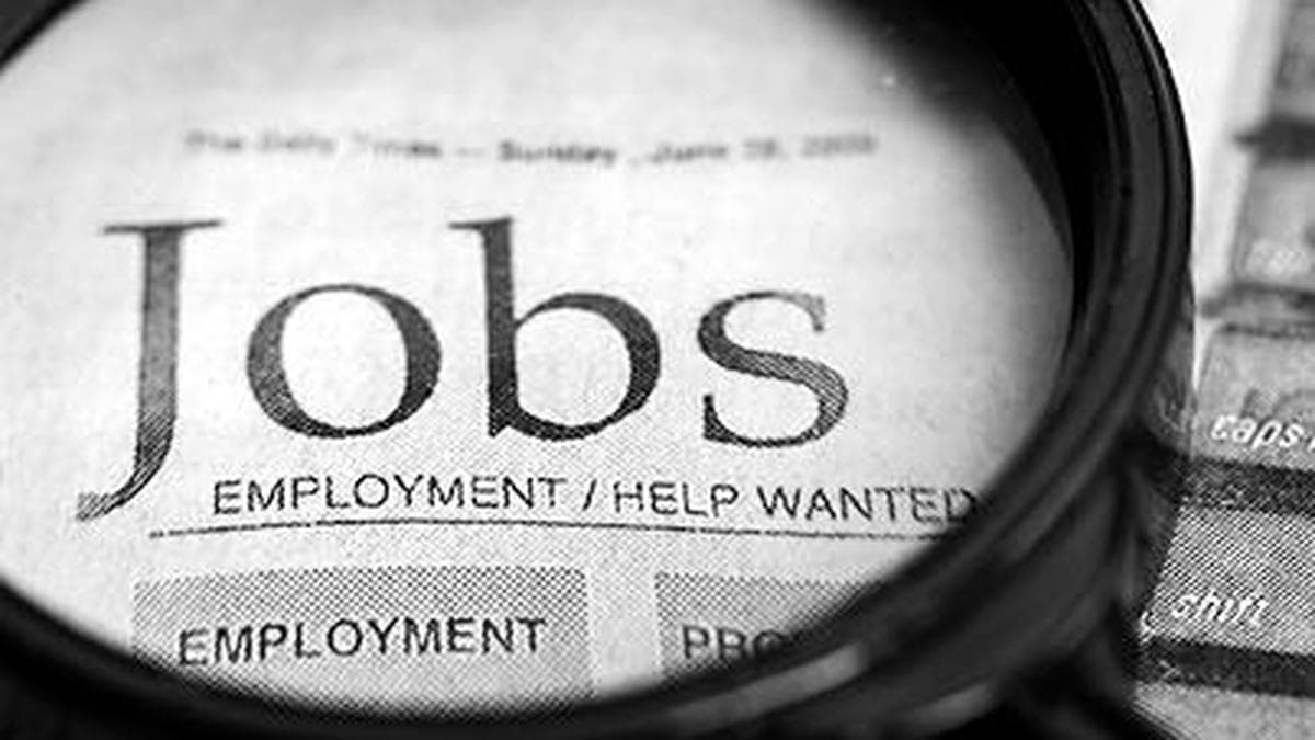 Critical Report Reveals Shocking Employment Trends in India