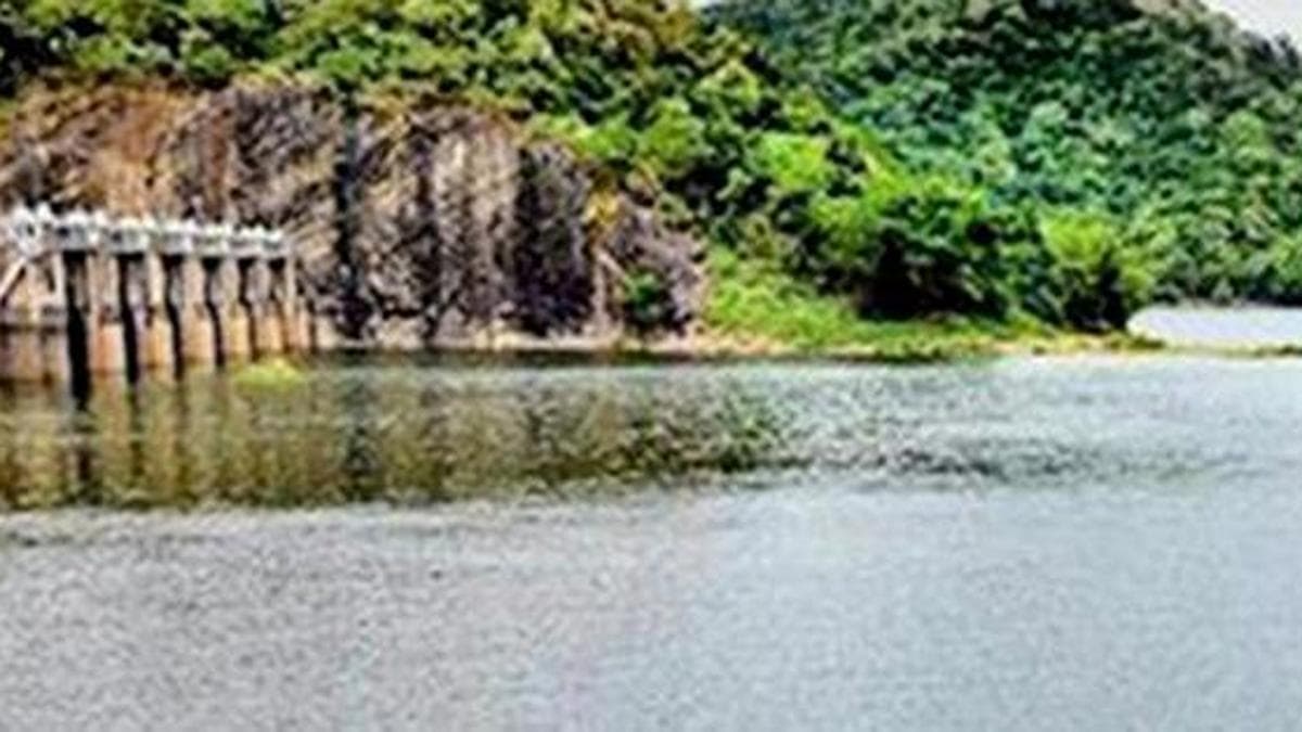 Critical Water Levels in Papanasam Dam Revealed