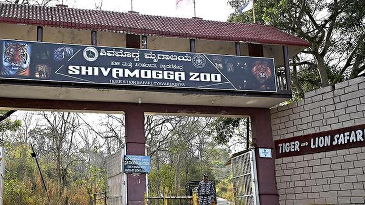 Tragic Death of Trainee Vet Raises Safety Concerns in Zoos